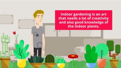 Indoor Gardening Services in Dublin & Belfast - Call 0818 919 362