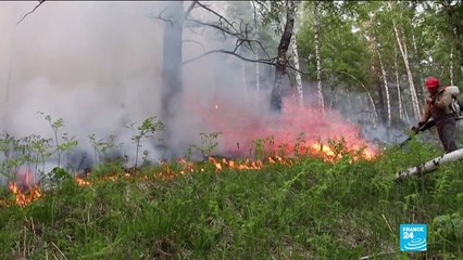 Feux de forêt en Sibérie : l'armée mobilisée pour aider les pompier