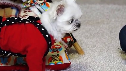 가평후불출장콜걸◁가평출장안마 -후불100%ョOiOZ7362Z3210｛카톡VR91｝ 가평전지역출장안마 가평오피걸 가평출장마사지 가평안마 가평출장마사지 가평콜걸샵▼▼▼