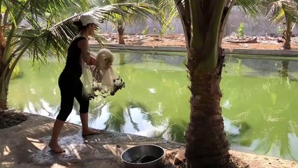 Gái Miền Tây chài cá là khỏi bàn rồi, đỉnh quá!