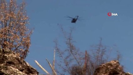 Şırnak'ta 4 PKK'lı terörist tutuklandı