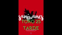 SAN JUAN 2019 CORIA TORO 25 TARDE