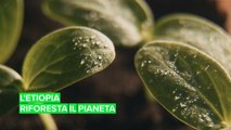 L'Etiopia dimostra che riforestare la Terra è possibile