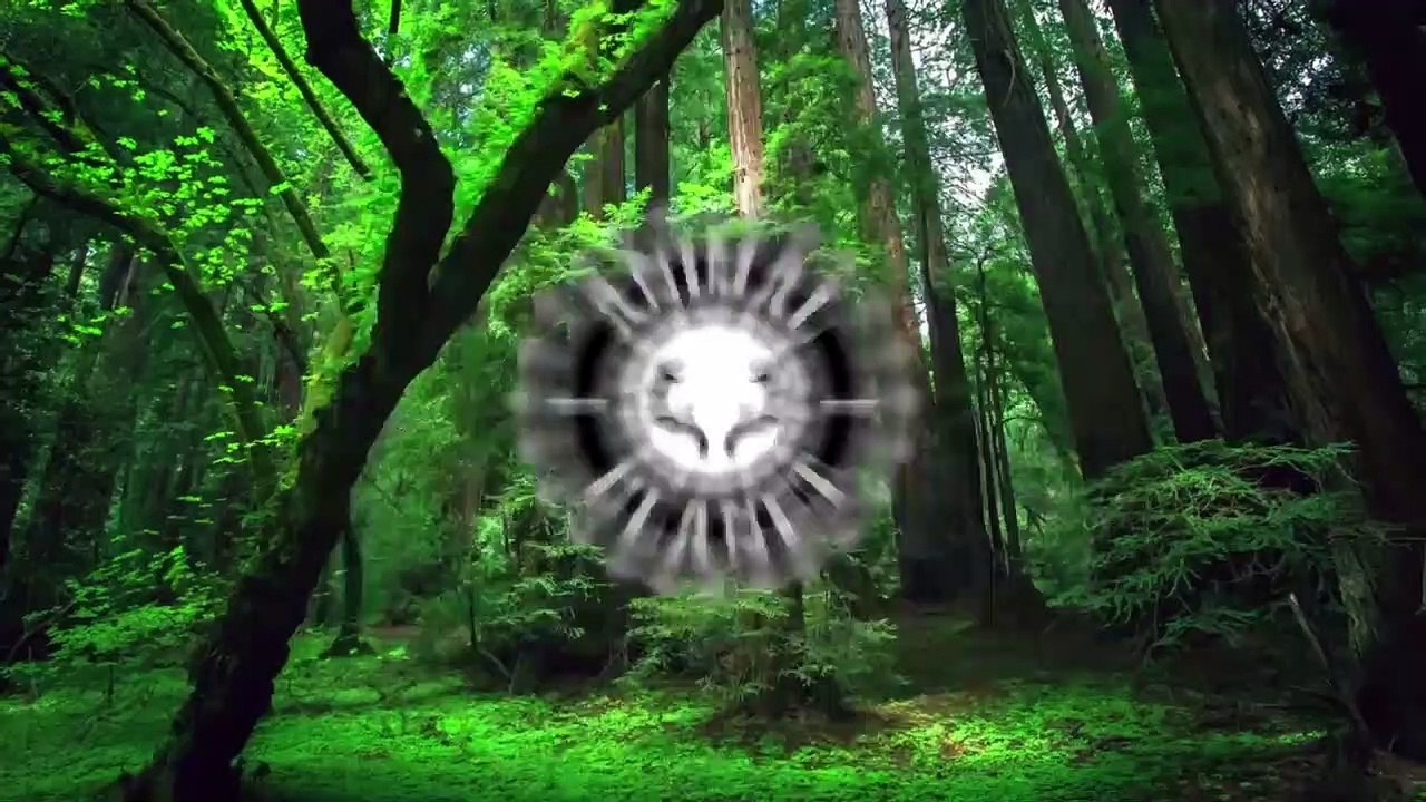 Baby Cats  Funny and Cute Baby Cat Videos Compilation (2018) Gatitos Bebes Video Recopilacion