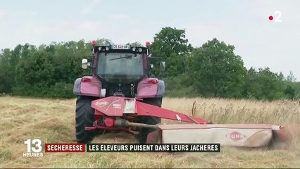 Sécheresse : les éleveurs autorisés à faucher leurs jachères