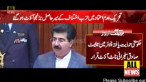 Chairman Senate Sadiq Sanjrani declared not out | PMLN | PPP | PTI