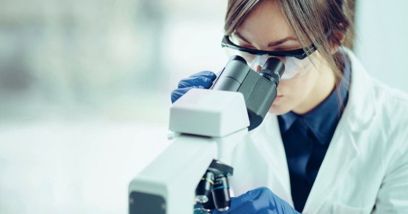 Le Japon auto­rise la culture d'em­bryons hybrides humains-animaux