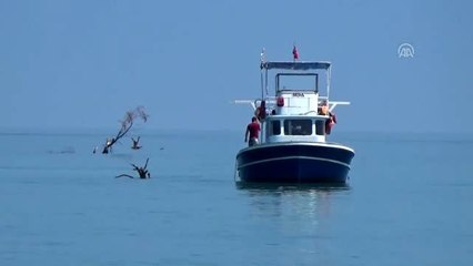 Akçakoca'da selde denize sürüklenen ağaç parçaları temizleniyor