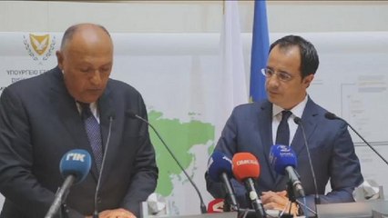 Egypt welcomes gas discoveries in eastern Mediterranean