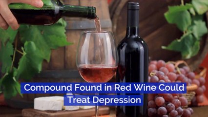 The Link Between Red Wine And Solving Depression