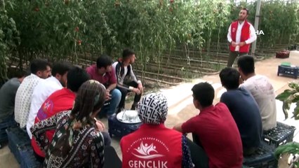 Silopi'de tarım işçilerine ilk yardım eğitimi