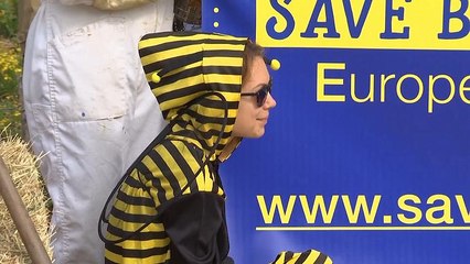 Mobilisation contre les pesticides "tueurs d'abeilles" devant la Commission européenne