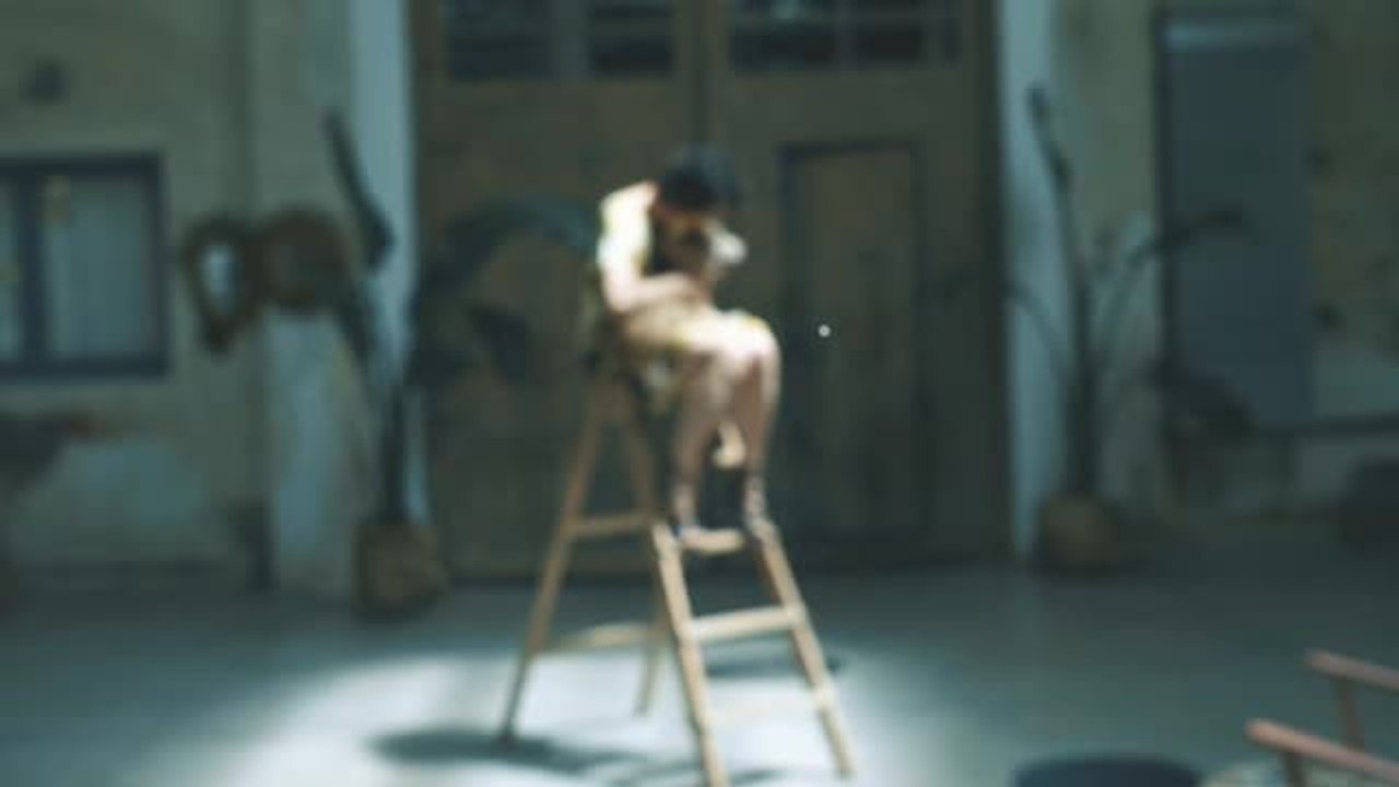 La asociación 'El Refugio' pone en marcha una iniciativa para acoger a los perros que se queden sin dueños por fallecimiento