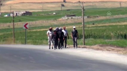 Van Gölü'ne dikkat çekmek için yürüyorlar