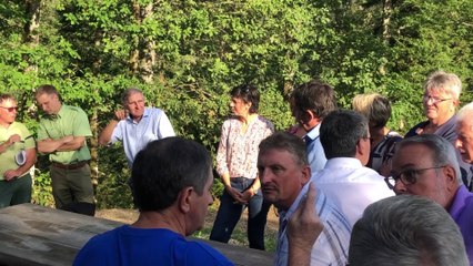 Masevaux : de nouvelles essences au secours de la forêt