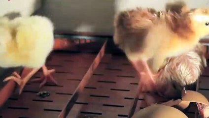 무주일본인콜걸샵후기≑무주출장안마 -후불100%ョO7OW7301W9649｛카톡CW69｝ 무주전지역출장안마 무주오피걸 무주출장마사지 무주안마 무주출장마사지 무주콜걸샵후기∦∦∦