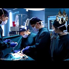 doctor austista ,, temporada 1 cap1