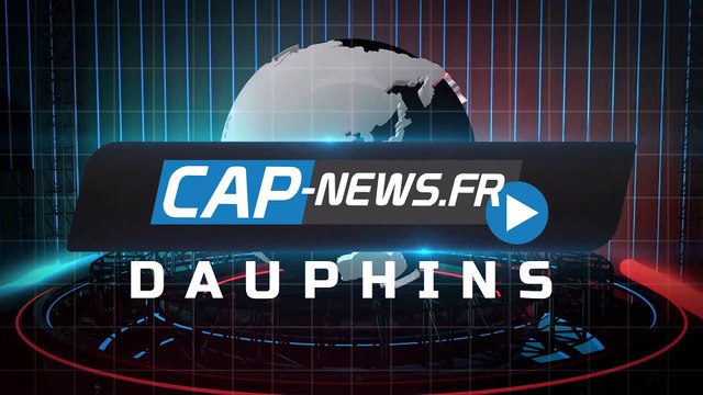 Rencontre avec des dauphins au large du Cap d'Agde