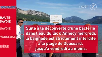 Zapping de l'Info du 1er Août 2019