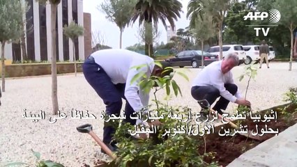 إثيوبيا تطمح لزرع 4 مليارات شجرة حفاظا على البيئة