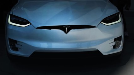 Tesla to work on flaw found in its ‘dog mode’ feature