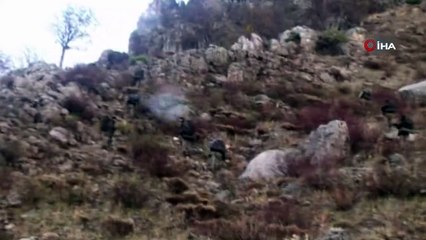 Gri kategoride yer alan terörist etkisiz hale getirildi