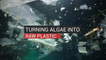 Turning Algae Into Raw Plastic