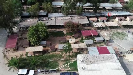 Beslenmesi ve ticareti yasak olan pitbulllar hayvan barınağında rehabilite ediliyor