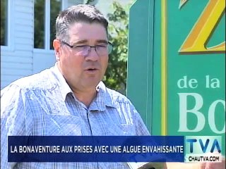 TVA Nouvelles 18h CHAU 01 août 2019