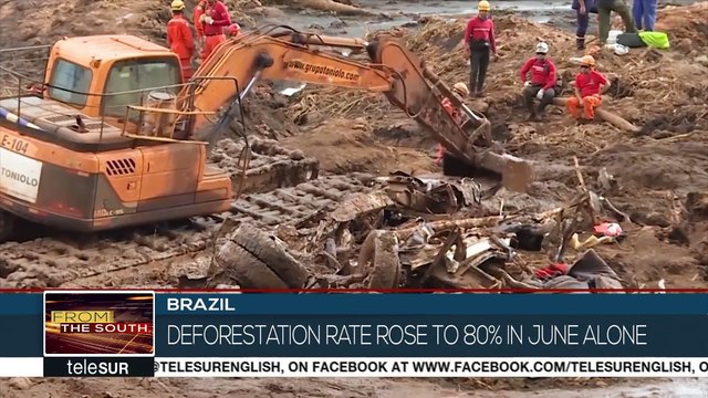 Deforestation in the Brazilian Amazon