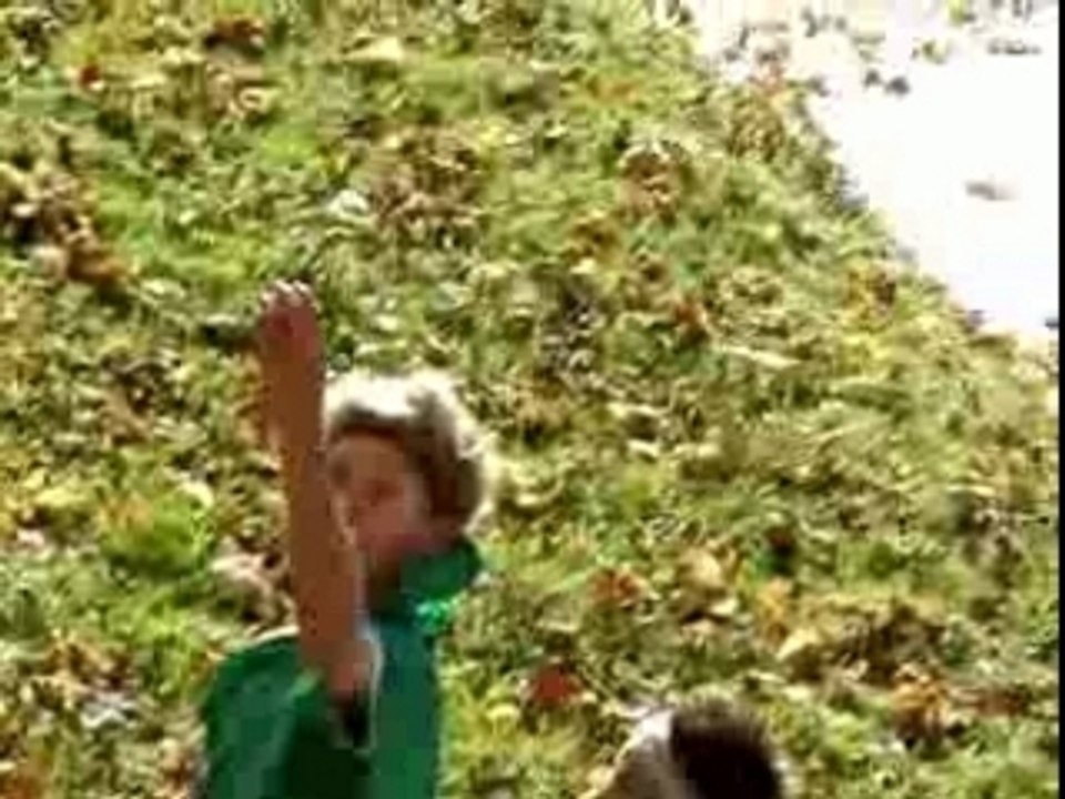 Youtube 2