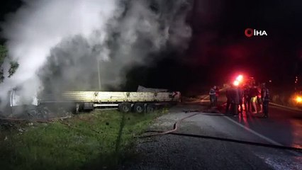 Lastiği patlayarak ormanlık alana uçan tır yanarak kül oldu: 3 yaralı