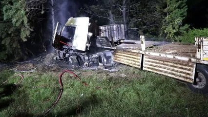 Kaza yapan tır orman yangınına neden oldu