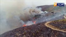 البويرة: غابات القادرية تتحول إلى رماد بسبب الحرائق