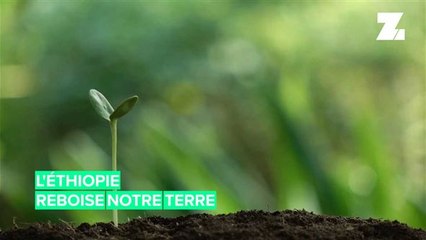 L'Ethiopie plante des arbres pour le futur