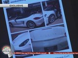 EXCL: Napoles family's expensive assets exposed
