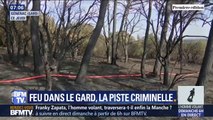 L'incendie qui a ravagé près de 500 hectares dans le Gard serait d'origine criminelle