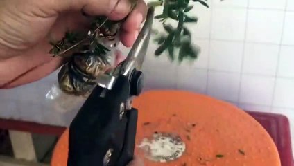 정왕동출장샵안내≑정왕동출장안마 -후불100%ョOiON6622N4421｛카톡XN94｝ 정왕동전지역출장안마 정왕동오피걸 정왕동출장마사지 정왕동안마 정왕동출장마사지 정왕동콜걸샵후기◖◖◖