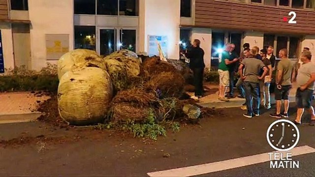 Fumier déversé, locaux murés... Deux nouvelles permanences LREM ciblées par des agriculteurs cette nuit - VIDEO