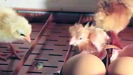 용산역애인대행강◁용산역출장안마 -후불100%ョOiOX2997X5327｛카톡LTE13｝ 용산역전지역출장안마 용산역오피걸 용산역출장마사지 용산역안마 용산역출장마사지 용산역콜걸샵んんん