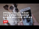 #FeedGoals: Make Your Photos Look Like a Million Bucks