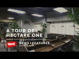 A Tour of Hectare One, Erwan Heussaff and Nico Bolzico's New Office