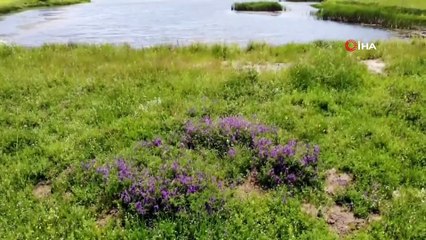 Çorum’un saklı cenneti “Gölbel” göleti havadan görüntülendi