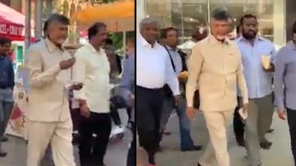 అమెరికా వీదుల్లో తిరుగుతున్న చంద్రబాబు | Chandrababu Became Center Of Attraction In American Streets