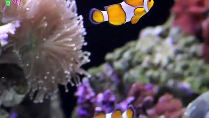 건대역콜걸샵후기≑건대역출장안마 -후불100%ョOiOZ7362Z3210｛카톡VR91｝ 건대역전지역출장안마 건대역오피걸 건대역출장마사지 건대역안마 건대역출장마사지 건대역콜걸샵후기◞◞◞