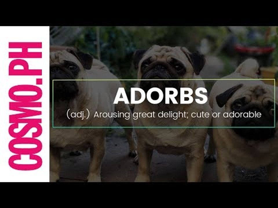 15 Words That Were Recently Added To The Dictio...