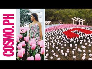 This Glowing Garden In Bohol Has 20,000 Flowers