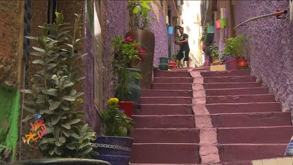 بالألوان والورود.. مبادرة مغربية لتزيين أزقة وأحياء مدينة الرباط