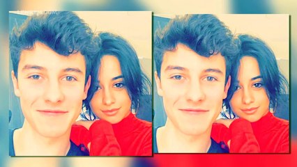 Why Camila Cabello And Shawn Mendes Wont Confirm Romance Anytime Soon