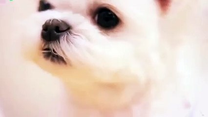 수원출장안마 -후불100%ョOiOX7685X6221｛카톡PP888｝ 수원전지역출장안마 수원오피걸 수원출장마사지 수원안마 수원출장마사지 수원콜걸샵㍋∝け